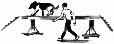 Юный дрессировщик - i_031.png