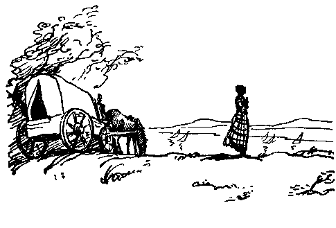 Черный ураган. Честный Эйб - pic_24.png