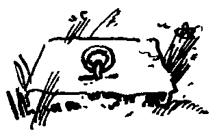 Черный ураган. Честный Эйб - pic_26.png