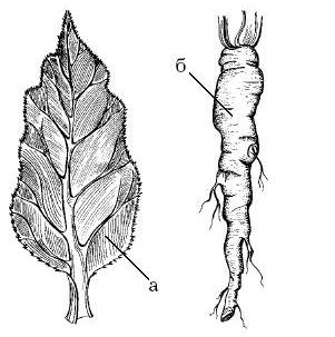 Огород для лентяев - pic_15.jpg