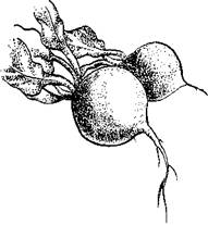 Огород для лентяев - pic_20.jpg