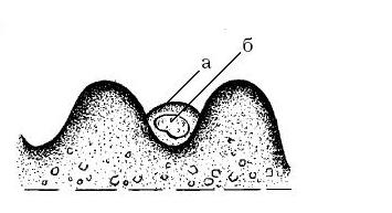 Огород для лентяев - pic_37.jpg