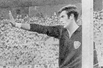 Пеле, Гарринча, футбол… - i_013.jpg