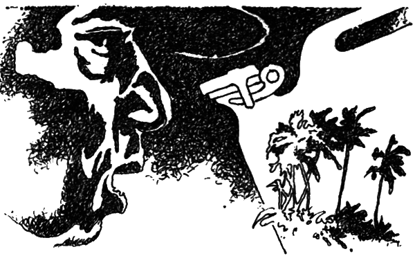 По обе стороны экватора - i_025.png