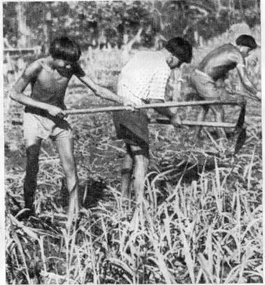 Пост Леонардо - f5.jpg