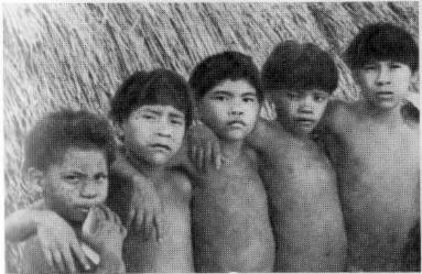 Пост Леонардо - f16.jpg