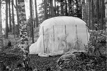 Деревянные дома, бани, печи и камины, гараж, теплица, изгороди, дачная мебель - any2fbimgloader20.jpg