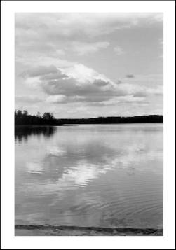 Деревянные дома, бани, печи и камины, гараж, теплица, изгороди, дачная мебель - any2fbimgloader21.jpg