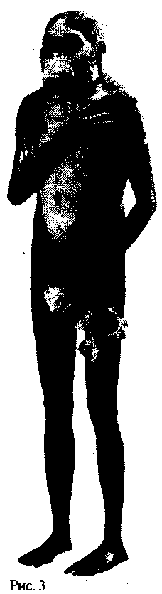 Боги нового тысячелетия - i_003.png