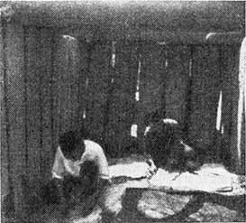 Идолы прячутся в джунглях - i_034.jpg