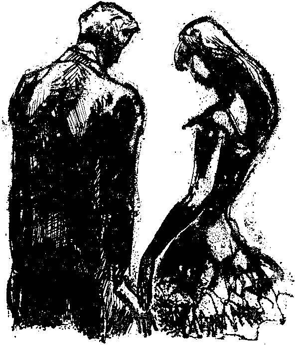 Восстание рыбаков в Санкт-Барбаре. Транзит. Через океан - _4.jpg