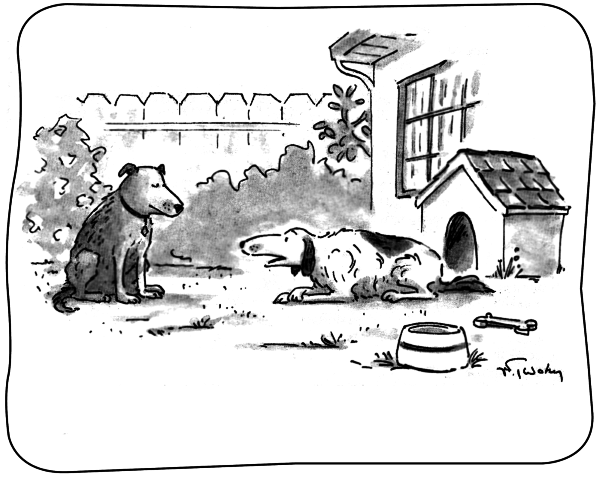 КНИГА №1 про счастье ПРАКТИЧЕСКОЕ РУКОВОДСТВО ПО ОБРЕТЕНИЮ СЧАСТЬЯ - i_004.png