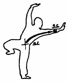 Да-цзе-шу — искусство пресечения боя - pic65.png