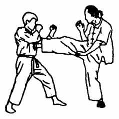 Да-цзе-шу — искусство пресечения боя - pic204.png