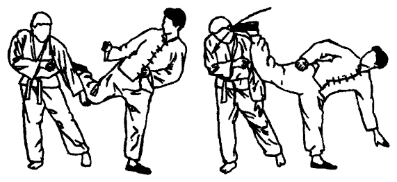 Да-цзе-шу — искусство пресечения боя - pic217.png