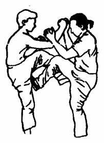 Да-цзе-шу — искусство пресечения боя - pic294.png