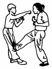 Да-цзе-шу — искусство пресечения боя - pic295.png