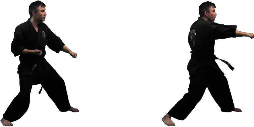 Прямой удар (СИ) - _4.jpg