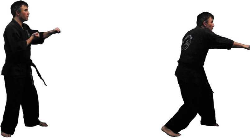 Прямой удар (СИ) - _5.jpg