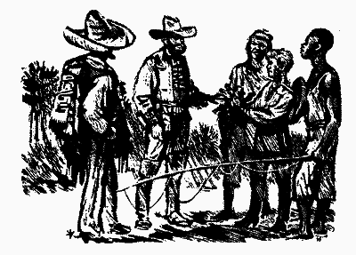 Мисливці за орхідеями - i_004.png