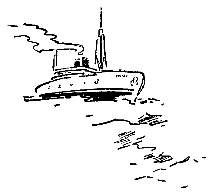 Охотники за орхидеями (ил. В.Трубковича) - pic03.png