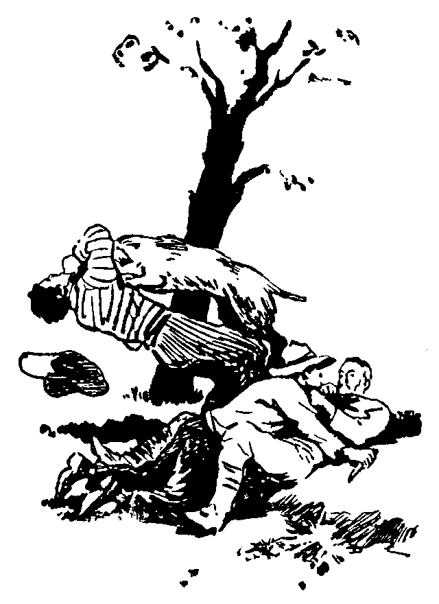 Охотники за орхидеями (ил. В.Трубковича) - pic21.png