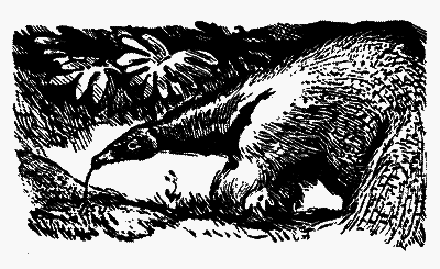 Охотники за орхидеями (худ. В. Юнк) - pic_15.png