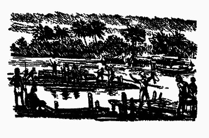 Охотники за орхидеями (худ. В. Юнк) - pic_19.png