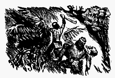 Охотники за орхидеями (худ. В. Юнк) - pic_23.png