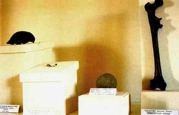 Ищу предка - i_002.jpg