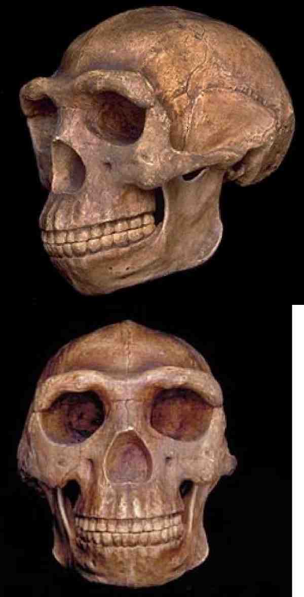 Ищу предка - i_006.jpg