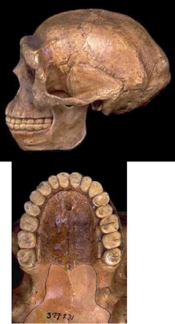 Ищу предка - i_007.jpg