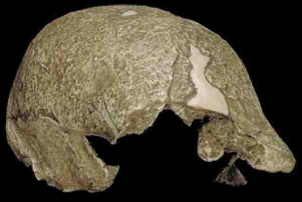 Ищу предка - i_009.jpg