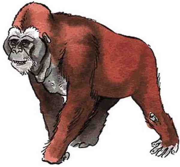 Ищу предка - i_011.jpg