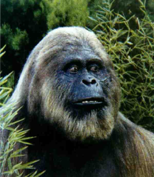 Ищу предка - i_012.jpg