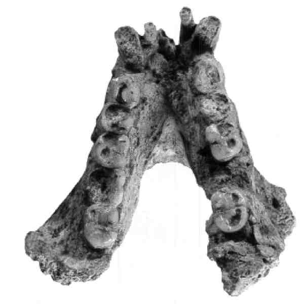 Ищу предка - i_013.jpg