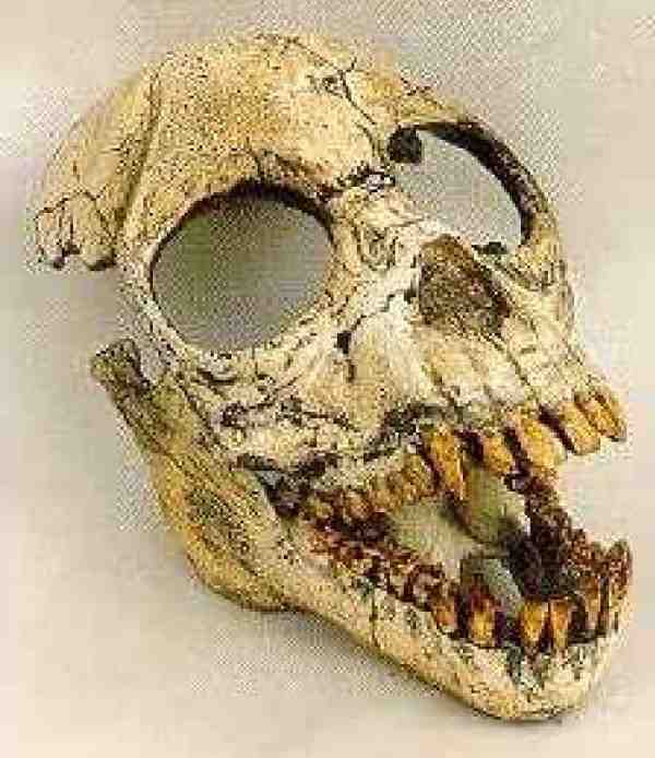 Ищу предка - i_016.jpg