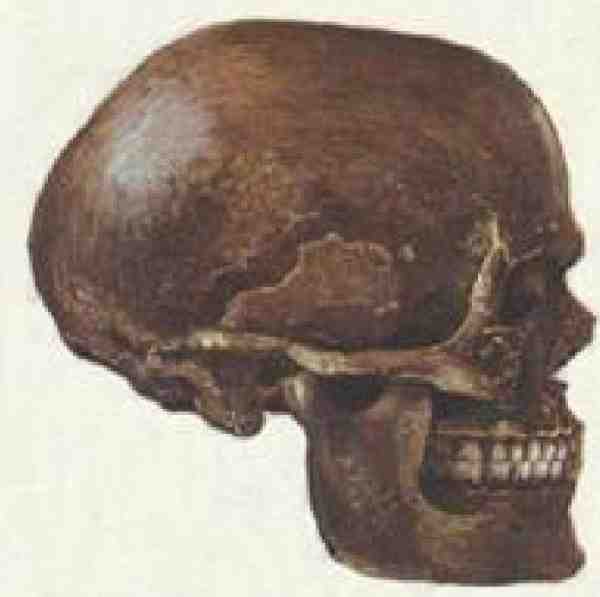 Ищу предка - i_026.jpg