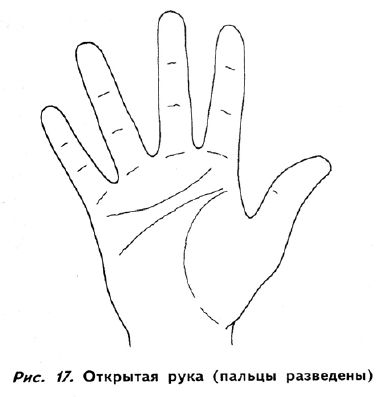 Полное руководство по хиромантии: Секреты чтения ладони - _16.jpg