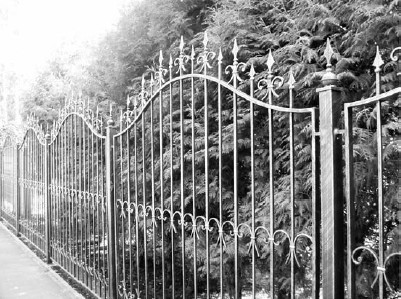 Благоустройство территории вокруг коттеджа - i_028.jpg