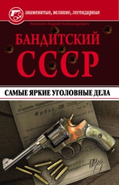 Бандитский СССР. Самые яркие уголовные дела - автор Колесник Андрей Александрович 