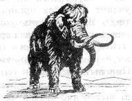 Все обо всем. Том 2 - i_016.jpg