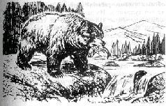 Все обо всем. Том 2 - i_020.jpg