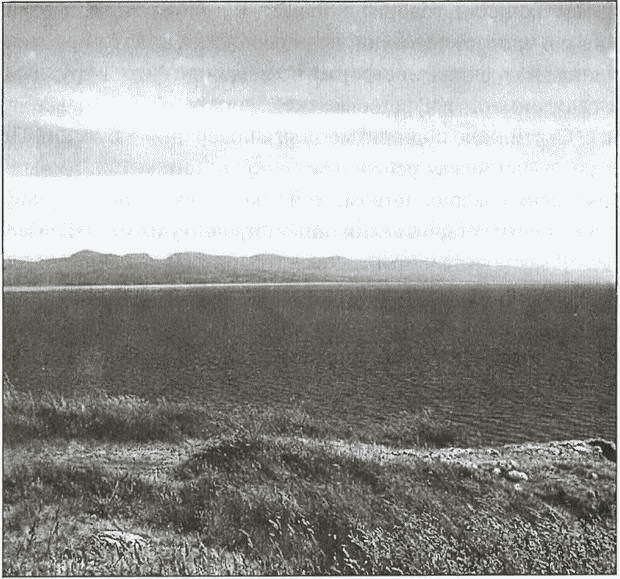 Тайны древних бриттов - i_064.jpg