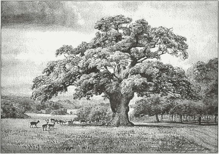 Тайны древних бриттов - i_082.jpg