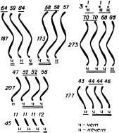 Клич Феникса - image010.jpg