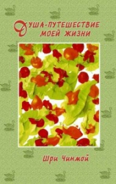 Шри Чинмой. Душа - путешествие моей жизни - автор Чинмой Шри 