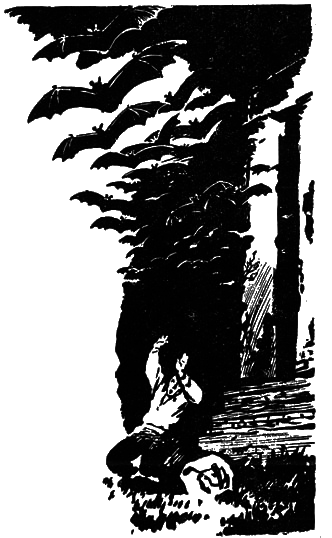 Тайны поселка Званцево - i_008.png