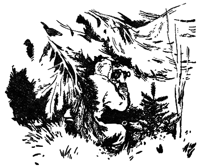 Тайны поселка Званцево - i_011.png