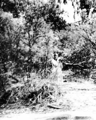 Книга вампиров - i_104.jpg